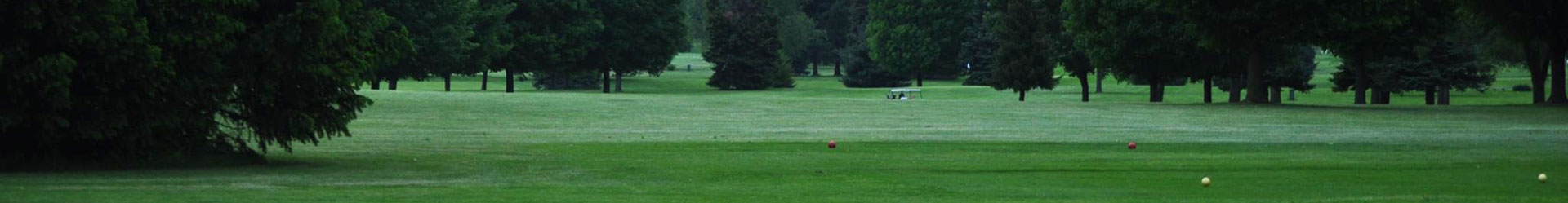 A tranquil golf course landscape with lush greenery and tall trees, perfect for relaxation.