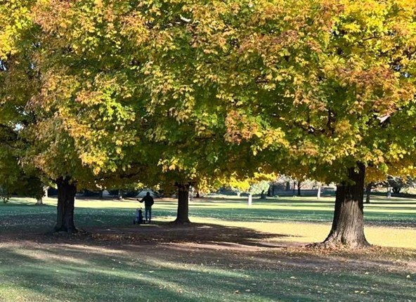 Get Started Playing Golf