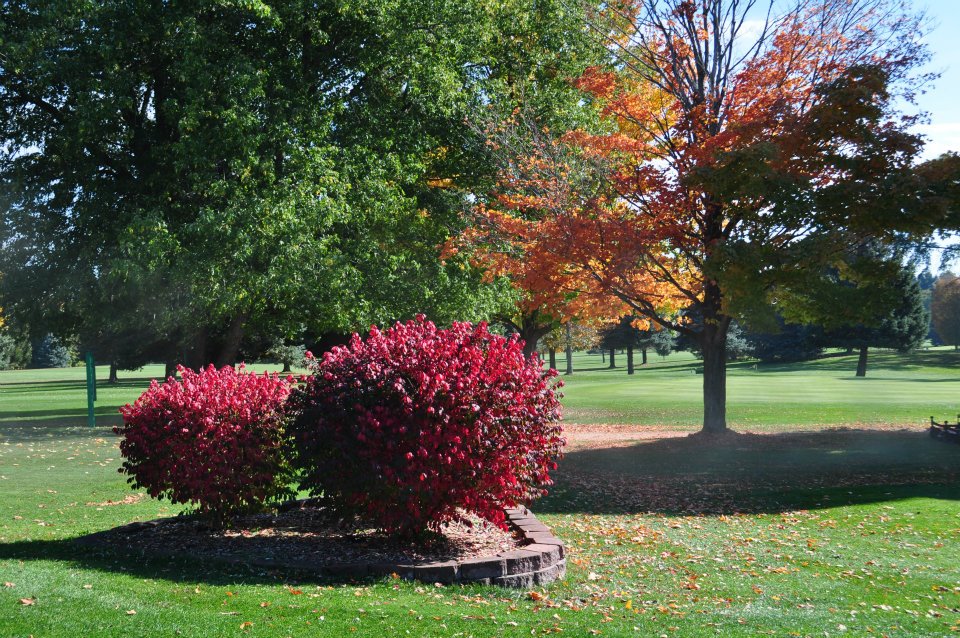 Autumn at Crestview Golf Club of Kalamazoo